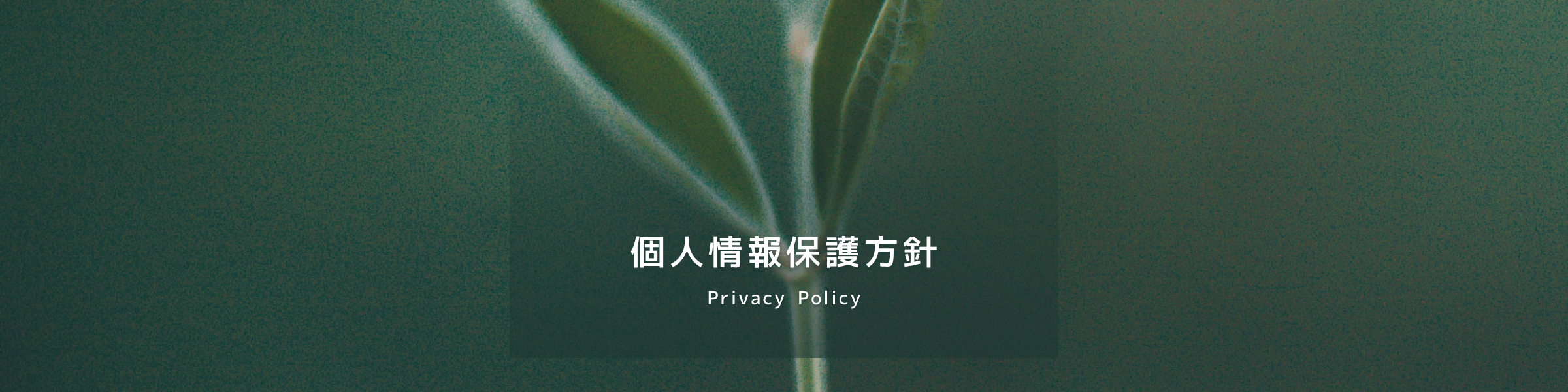 個人情報保護方針